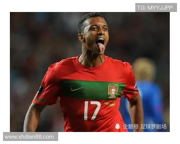 葡萄牙足球队明星球员卡片收藏指南探索球迷最爱珍稀卡片背后的故事